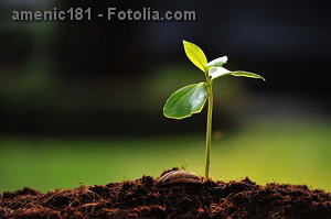 © amenic181 - Fotolia.com