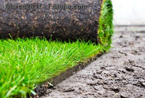 © Marco2811 - Fotolia.com