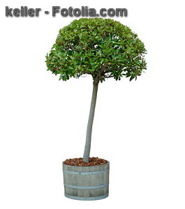 © keller - Fotolia.com