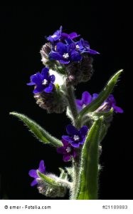 © emer - Fotolia.com