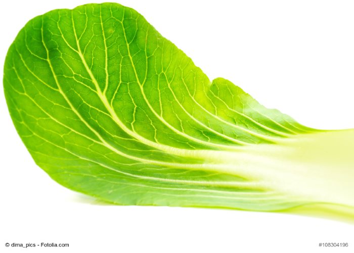 © dima_pics - Fotolia.com