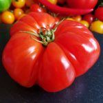 Tomate, Tomaten, Solanum lycopersicum, Tomaten Sorten