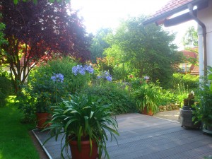 Topfpflanzungen im Gartenbereich