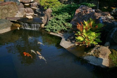 Japanischer Garten, Japangarten, Wasserfall, Drachentor-Wasserfall, Koi, Kois, Koiteich