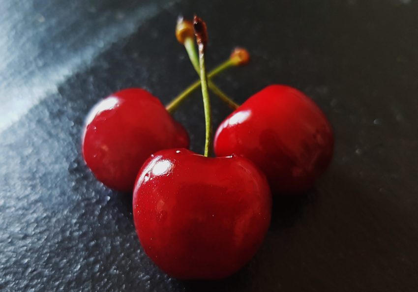 Kirsche, Kirschen, Kirschbaum, Prunus, Kirschbäume