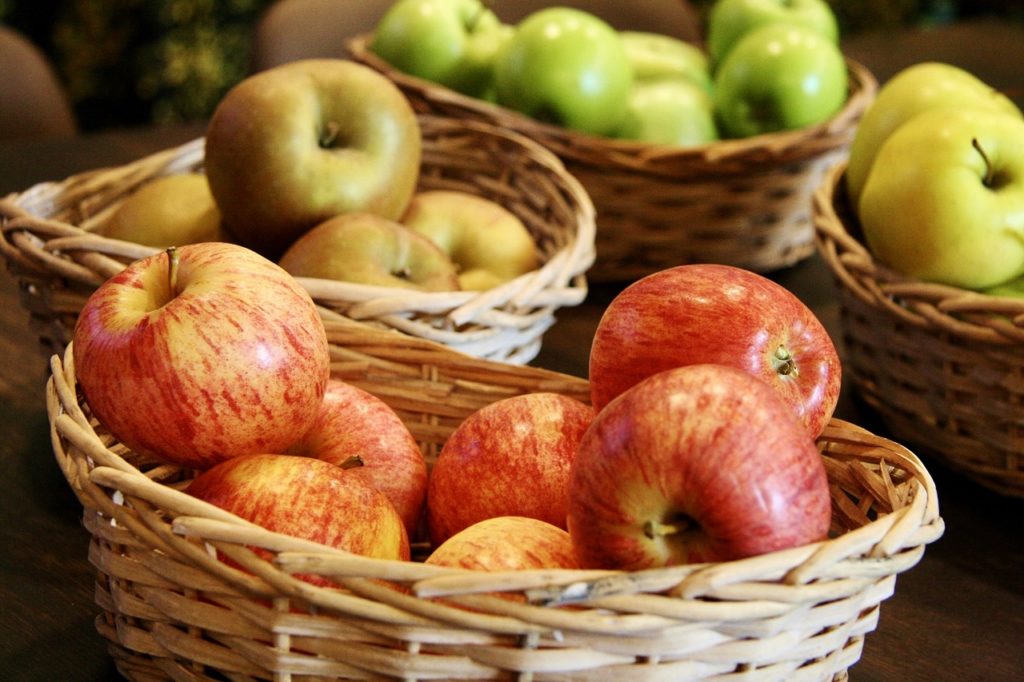Apfel, Äfpel, Apfelbaum, Apfelbäume, Malus, Kulturapfel, Malus domestica, Apfelfruch, Apfelfrüchte