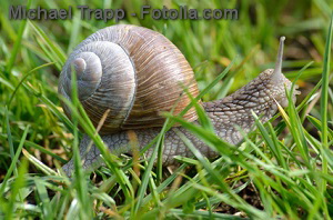 © Michael Trapp - Fotolia.com