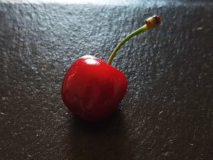Kirsche, Kirschen, Kirschbaum, Prunus, Kirschbäume