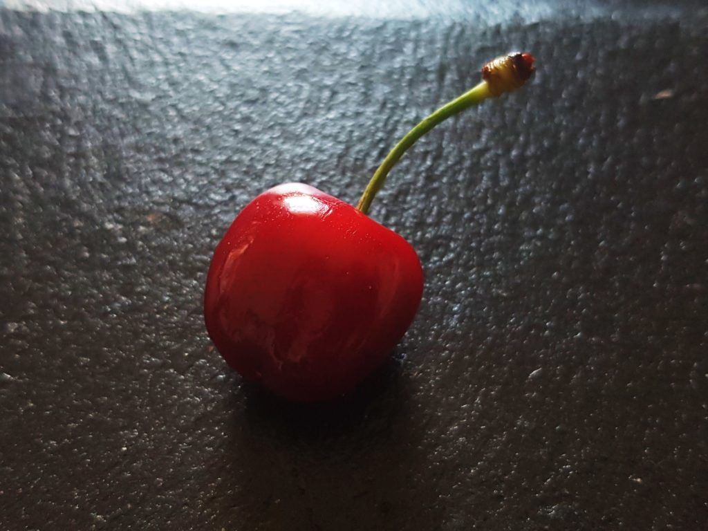 Kirsche, Kirschen, Kirschbaum, Prunus, Kirschbäume