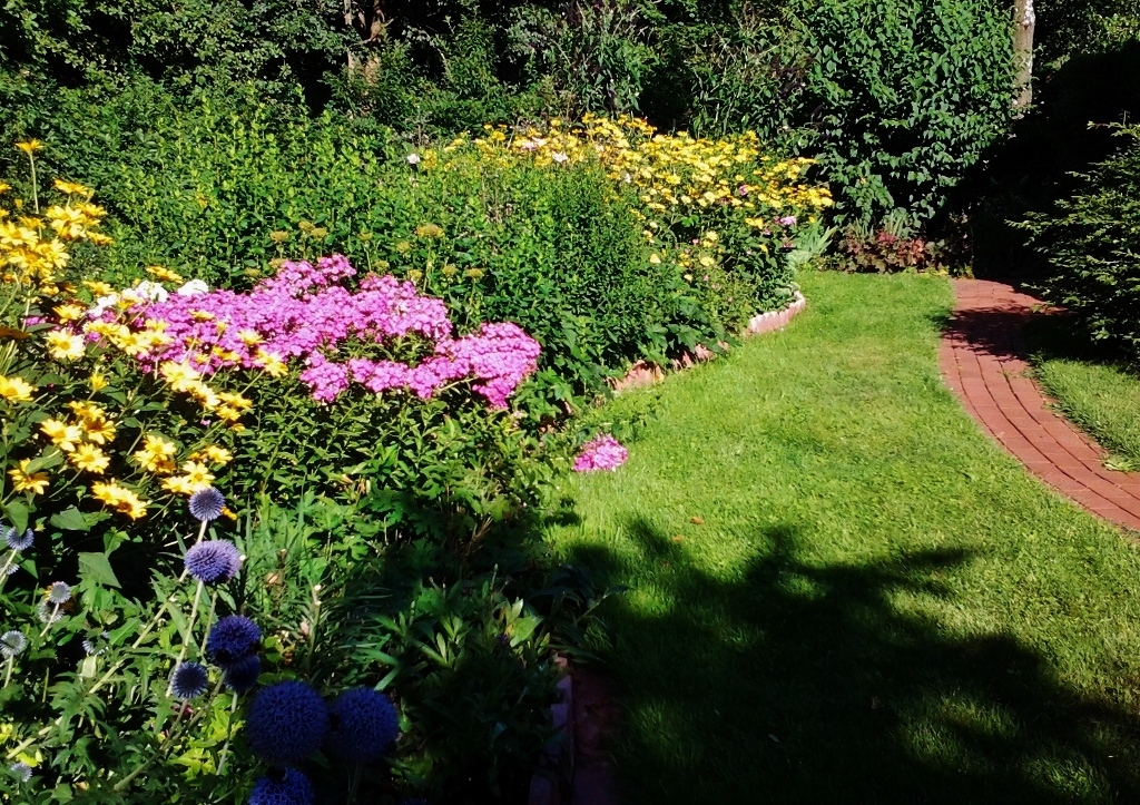 Schattengarten, Schattenstauden