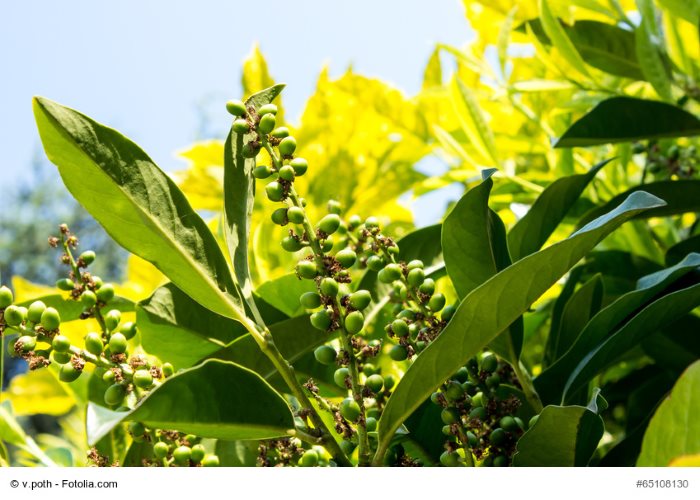 © v.poth - Fotolia.com