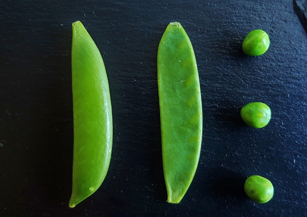 Erbsen, Erbse, Gartenerbse, Pisum sativum, Hülsenfrüchte, Zuckererbse, Zuckerschoten, Pisum sativum subsp. sativum convar. axiphium
