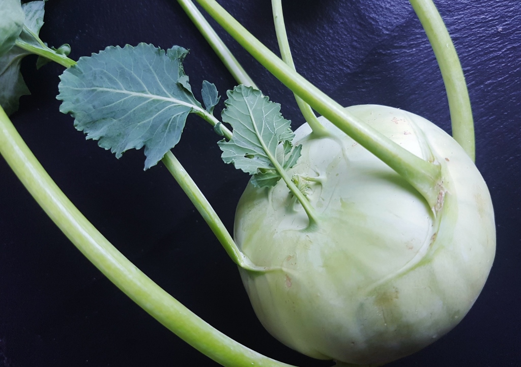 Kohlrabi, Kohlrübe, Brassica oleracea var. gongylodes