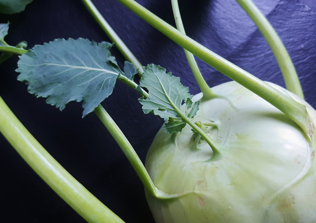 Kohlrabi, Kohlrübe, Brassica oleracea var. gongylodes