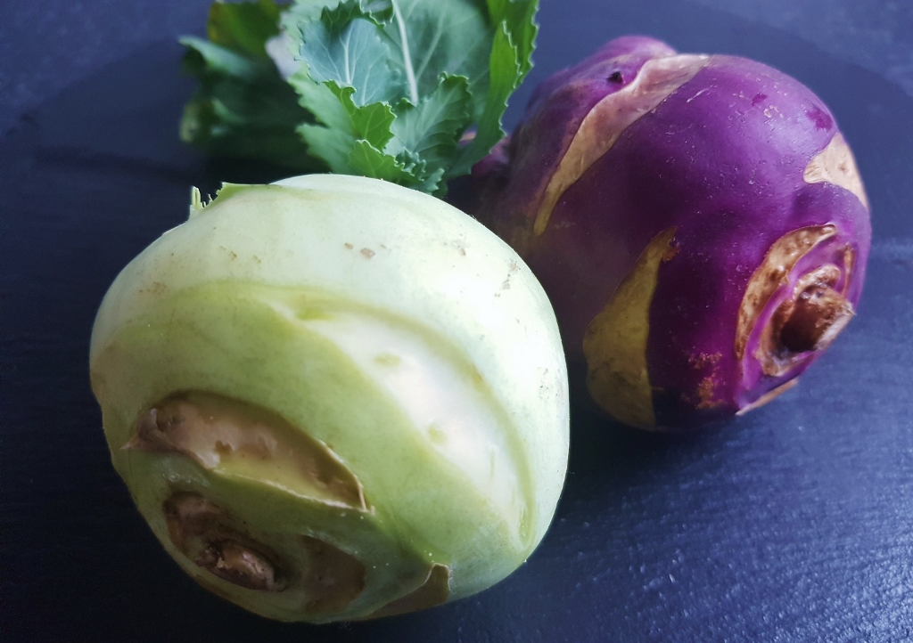 Kohlrabi, Kohlrübe, Brassica oleracea var. gongylodes