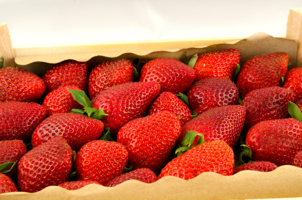 Erdbeere, Erdbeeren, Fragaria, Gartenerdbeere, Fragaria × ananassa