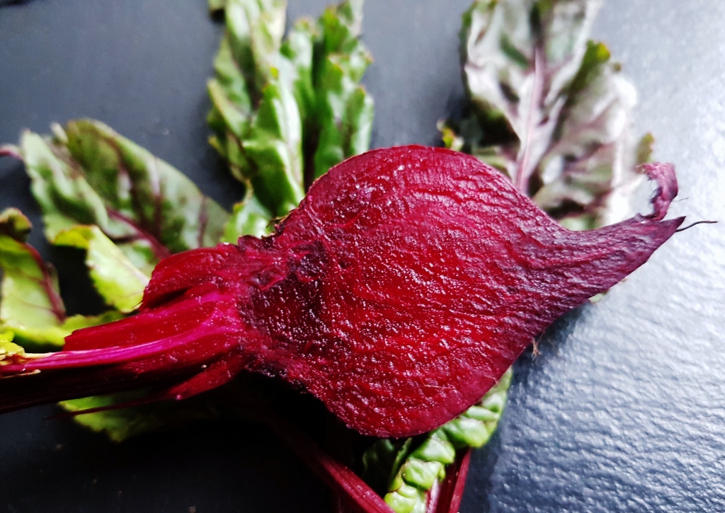 Rote Rübe, Rote Beete, Beta vulgaris, Beta vulgaris subsp. vulgaris