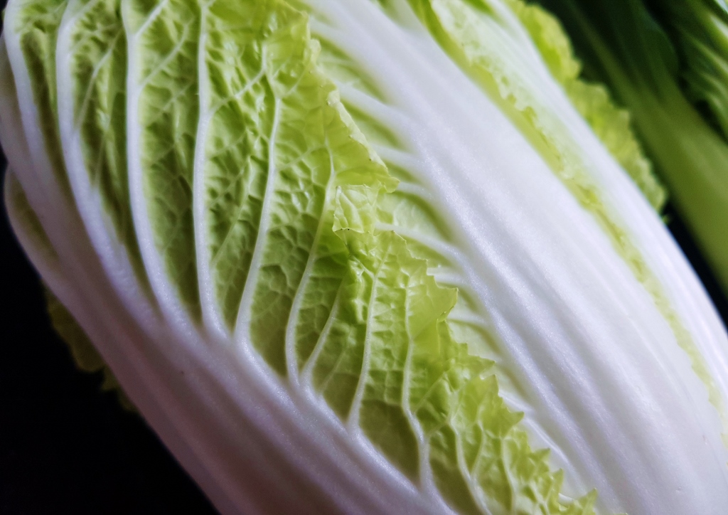 Pak Choi und Chinakohl, Pak Choi, Brassica rapa subsp. chinensis, Chinakohl, Brassica rapa subsp. pekinensis), Rübsen, Brassica rapa, Kohl