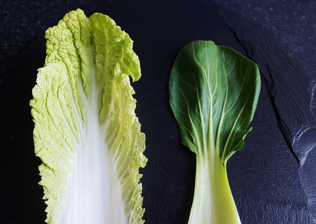 Pak Choi und Chinakohl, Pak Choi, Brassica rapa subsp. chinensis, Chinakohl, Brassica rapa subsp. pekinensis), Rübsen, Brassica rapa, Kohl