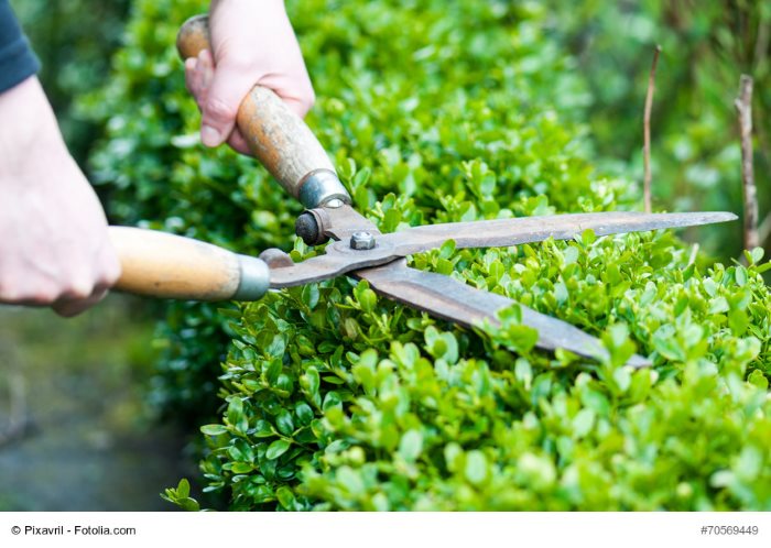 © Pixavril - Fotolia.com