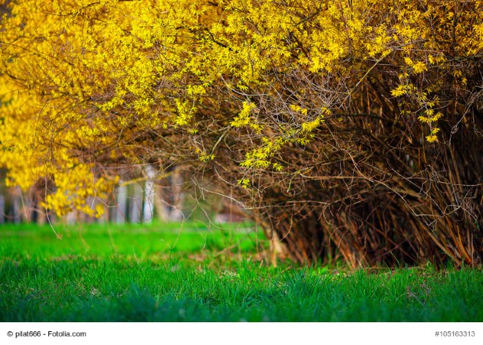 © pilat666 - Fotolia.com