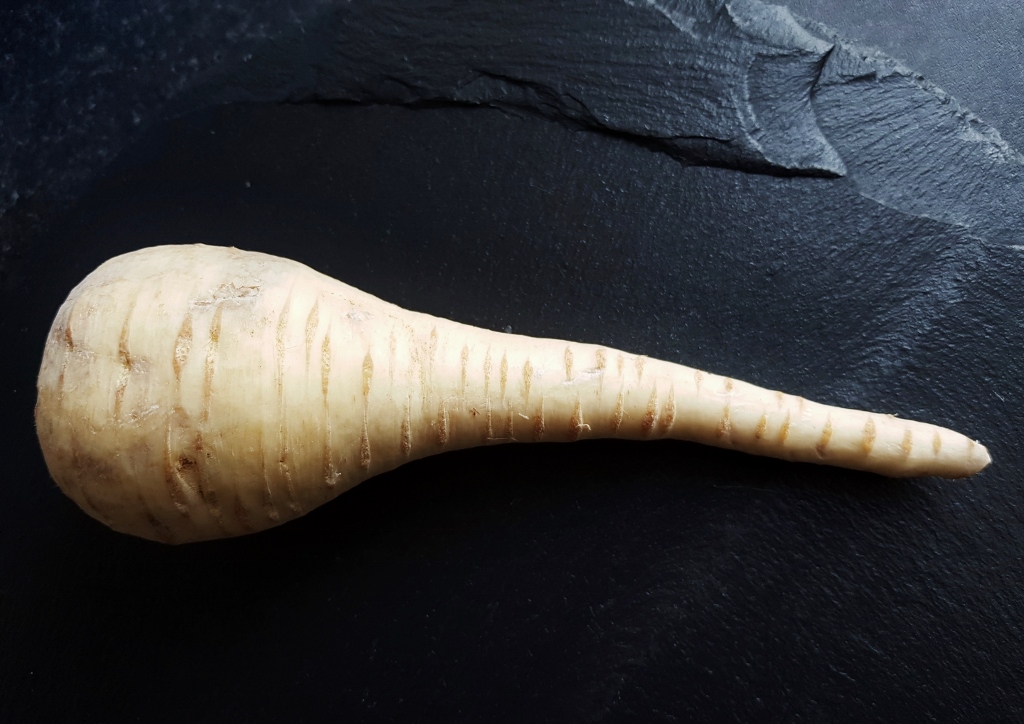 Pastinake, Pastinaken, Pastinak, Pastinaca, Pastinaca sativa, Petersilienwurzel
