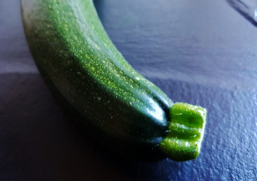 Zucchini, Cucurbita pepo subsp. pepo convar. giromontiina, Kürbisgewächse