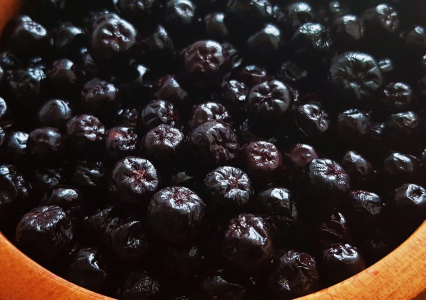 Apfelbeere, Aronia