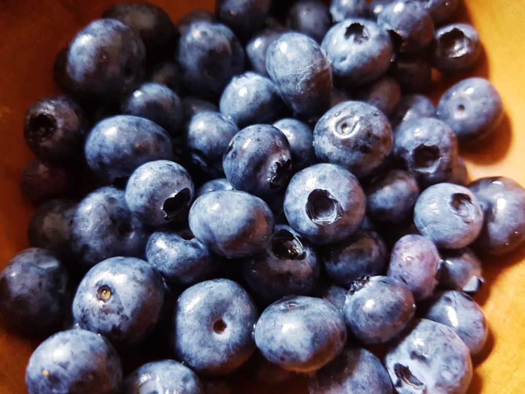 Heidelbeeren, Heidelbeere, Blaubeeren, Blaubeere, Beeren, Beere, Beerenfrüchte, Berenkräuter,