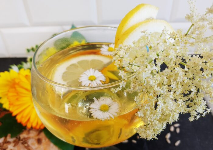 Holunder, Schwarzer Holunder, Sambucus, Sambucus nigra, Holunderblütensaft