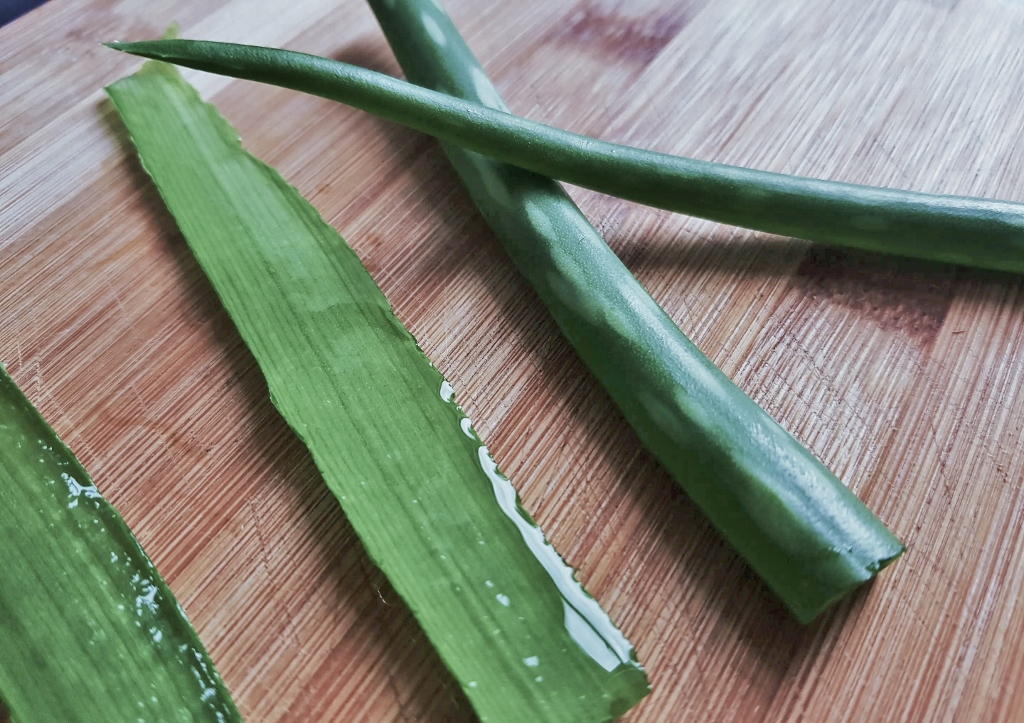 Aloe vera, Aloe vera Gel, Aloe, Naturkosmetik, Gesichtspflege, Hautpflege