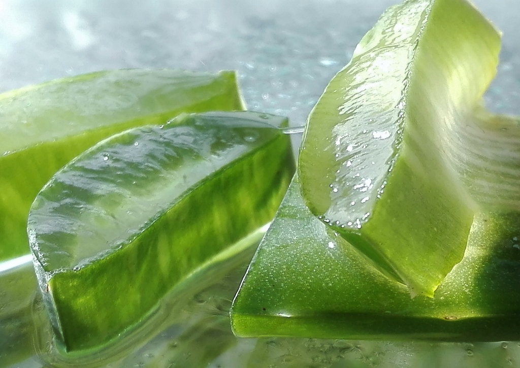 Aloe vera, Aloe vera Gel, Aloe, Naturkosmetik, Gesichtspflege, Hautpflege