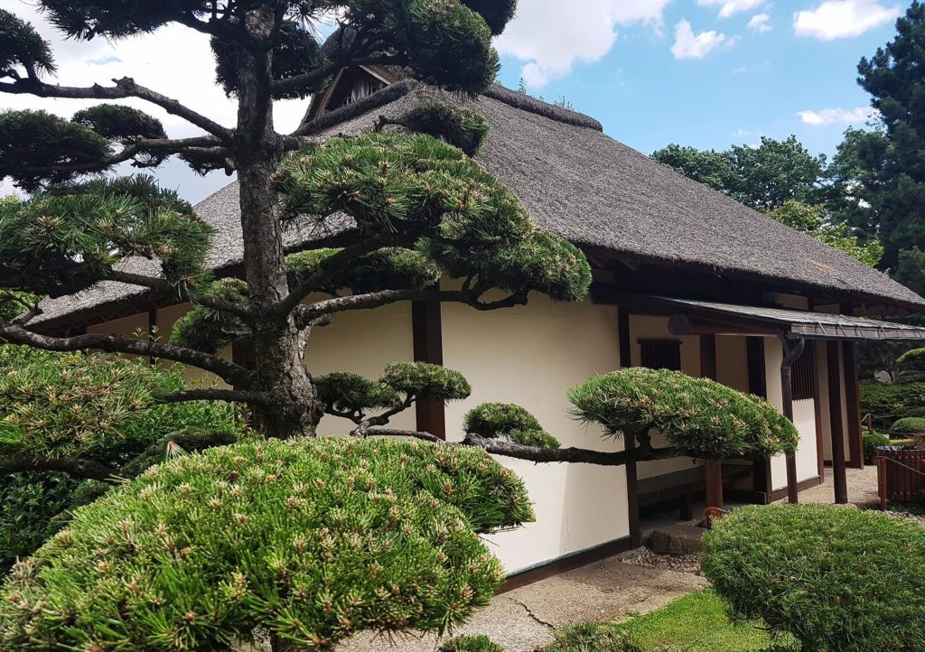 Japanischer Garten, Japangarten, Bonsai