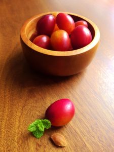 Obst, Steinobst, Gartenobst, Pflaume, rote Pflaume