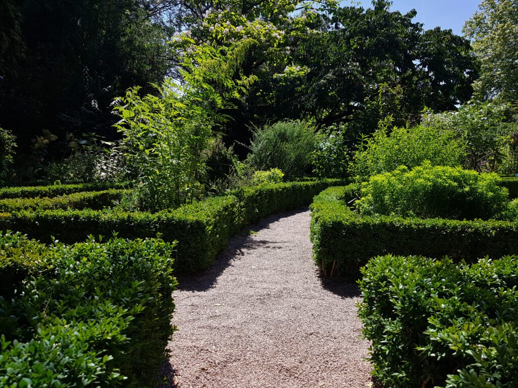 Sträucher, Heckensträucher, Heckenlabyrinth, Botanischer Garten Amsterdam