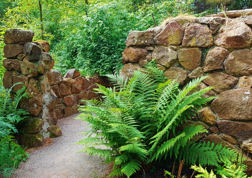 Naturgarten, Wildgarten, Waldgarten, Farne, Trockenmauer