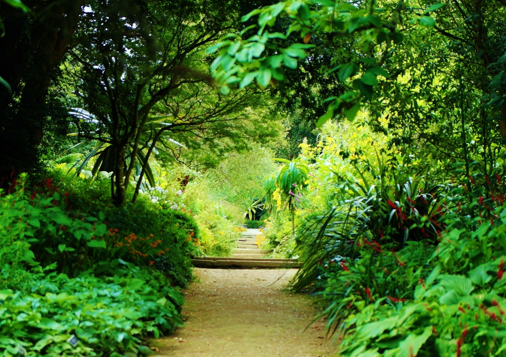Naturgarten, Wildgarten, Waldgarten