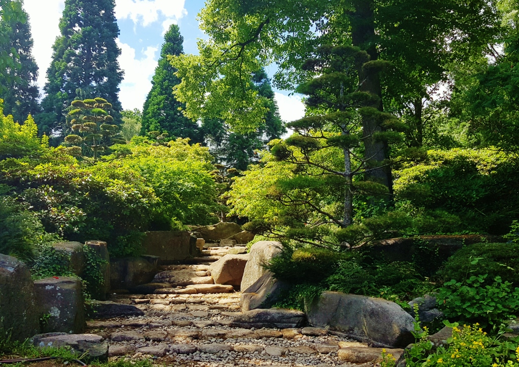 Naturgarten, Waldgarten,, Schattengarten