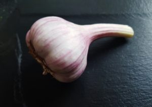 Knoblauch, Allium sativum, Knoblauchzehe, Knoblauchzehen