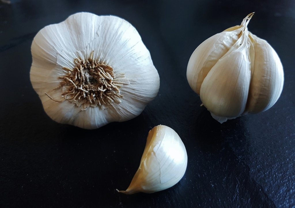 Knoblauch, Allium sativum, Knoblauchzehe, Knoblauchzehen