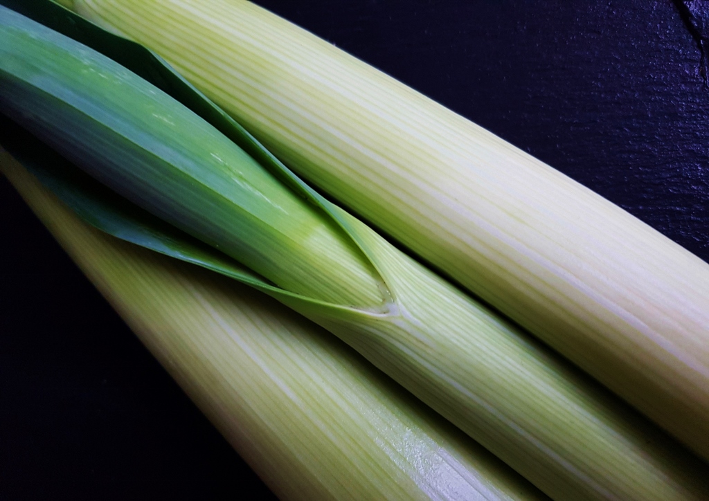 Lauch, Porree, Allium, Allium ampeloprasum