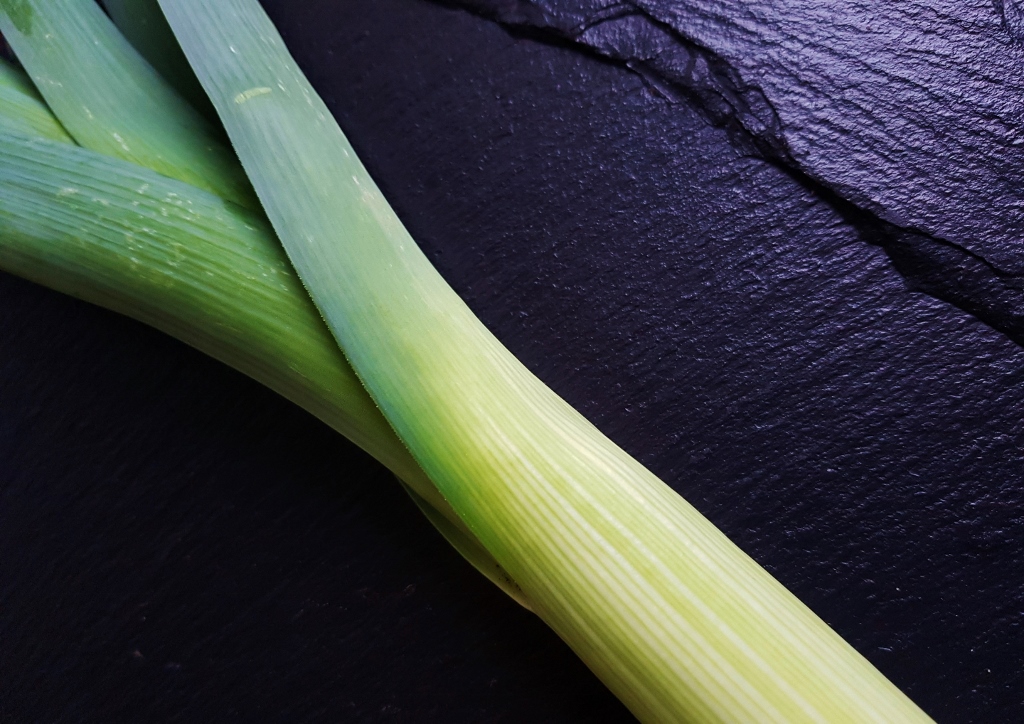 Lauch, Porree, Allium, Allium ampeloprasum