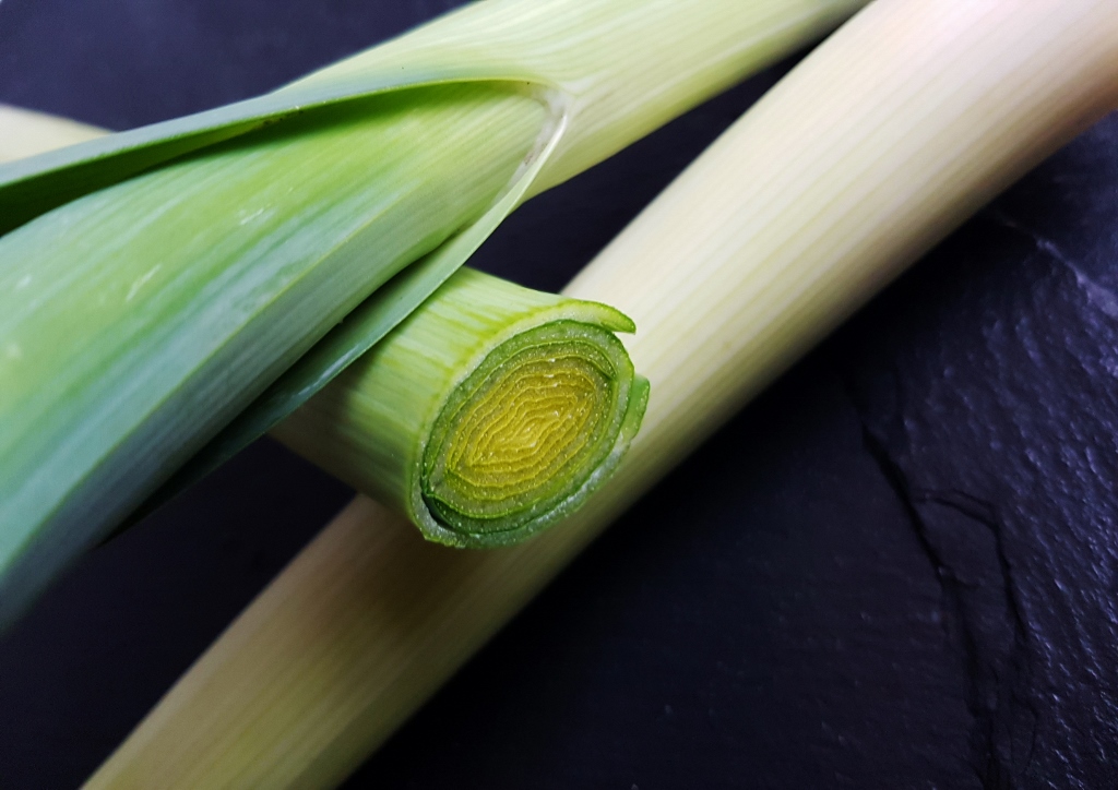 Lauch, Porree, Allium, Allium ampeloprasum, Lauch im Querschnitt
