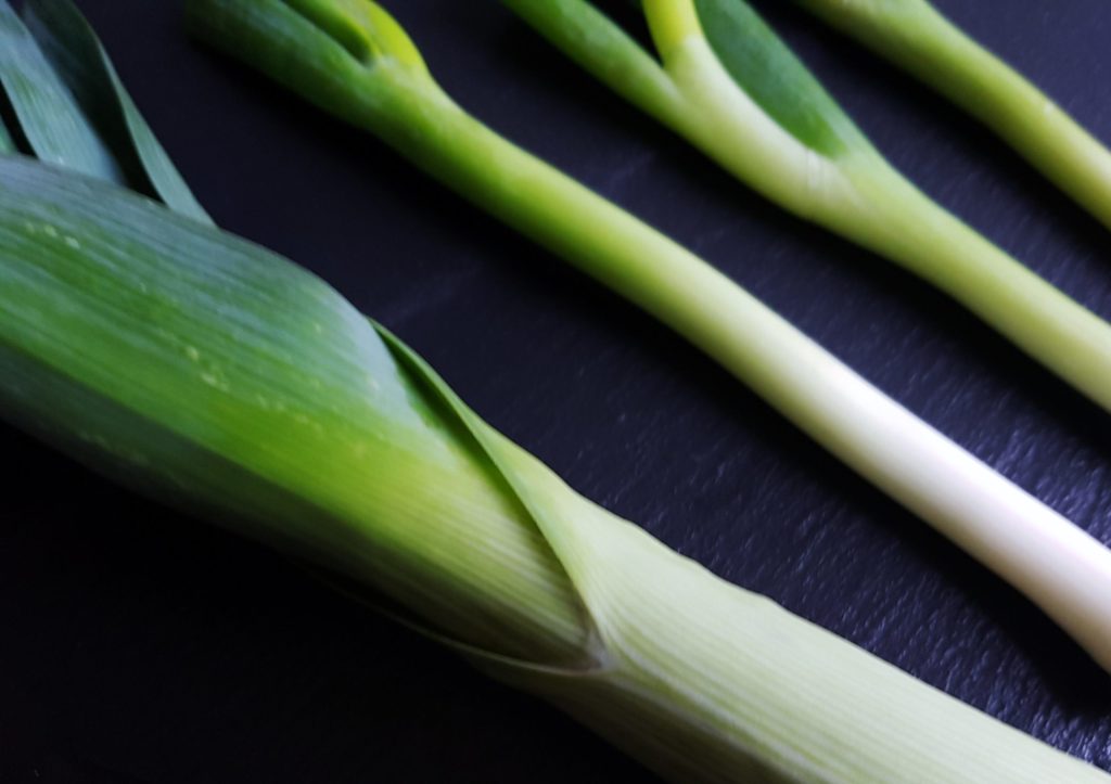 Lauch, Porree, Allium, Allium ampeloprasum, Frühlingszwiebel, Winterzwiebel, Allium fistulosum