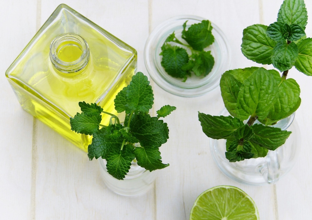 Minze, Mentha, Minzöl