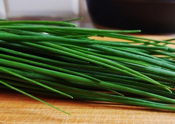 Schnittlauch, Allium schoenoprasum, Das Grüne Archiv