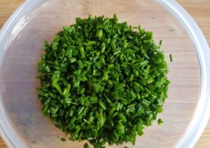 Schnittlauch, Allium schoenoprasum, Schnittlauch einfrieren