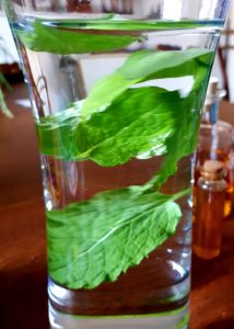 Kräuterküche, Kräuterwasser, Minzblätter, Wasser, Minzwasser