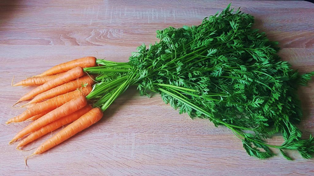 Möhren, Möhre, Karotte, Karotten, Rüben, Rübe, Gelbe Rüben, Gelbe Rübe, Mohrrübe, Mohrrüben, Daucus, Daucus carota, Daucus carota subsp. sativus