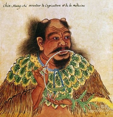 Shennong, Kräuterkaiser, TCM, Traditionelle Chinesische Medizin